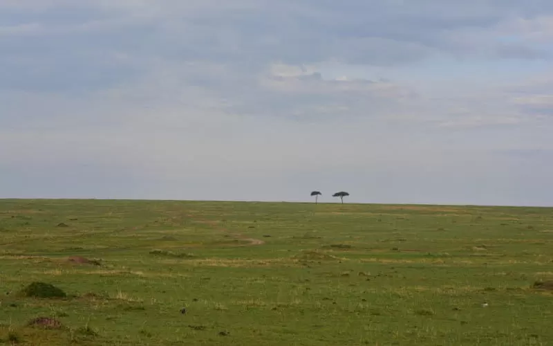 dsc_0155.jpg