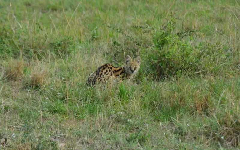 dsc_0224.jpg