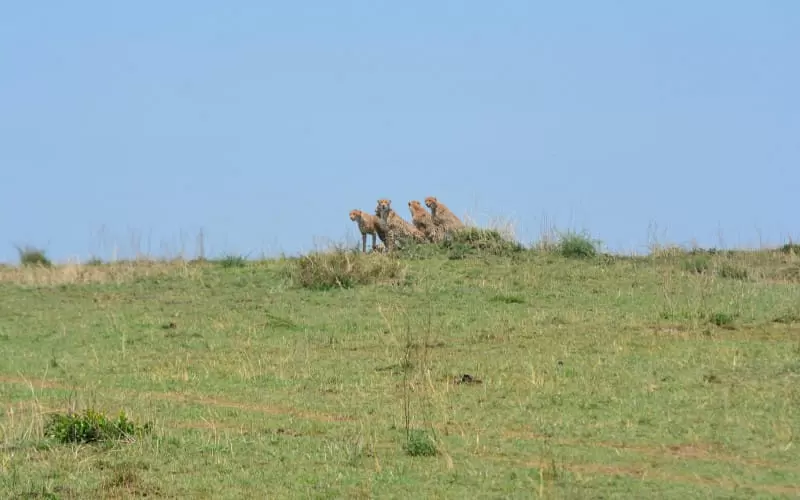 dsc_0254.jpg