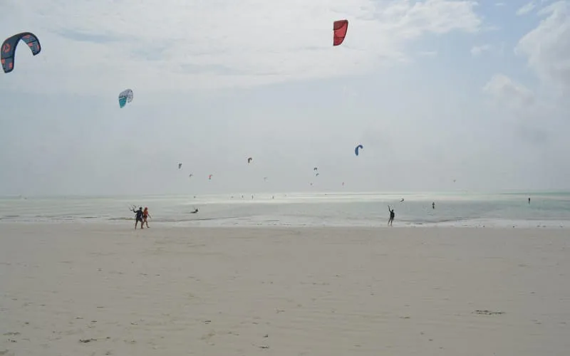 dsc_0282.jpg